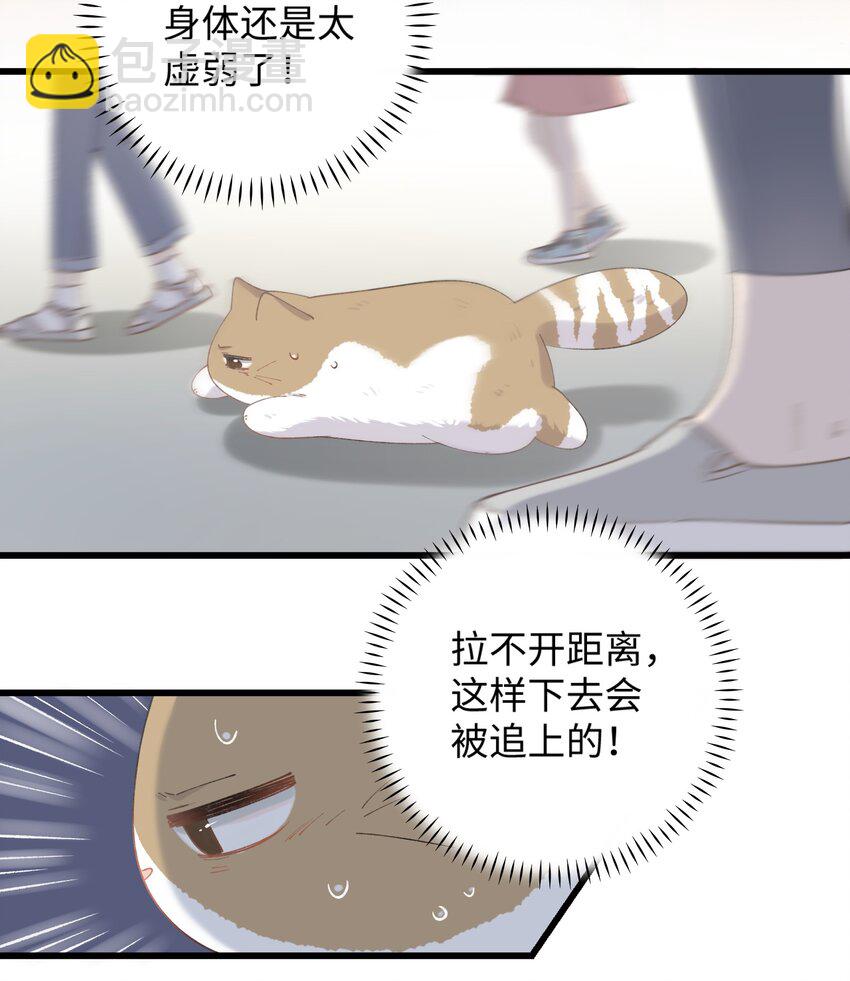 《加菲猫复仇记》026 危！ 第25页