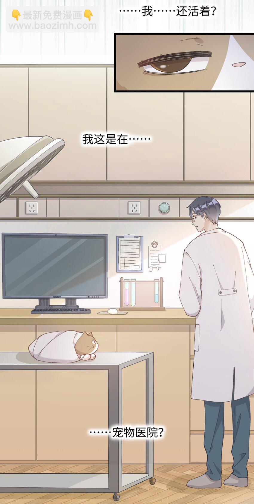 《加菲猫复仇记》026 危！ 第35页
