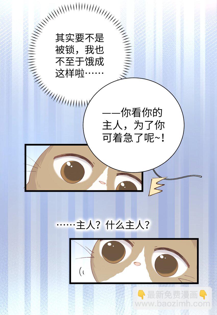 《加菲猫复仇记》026 危！ 第37页