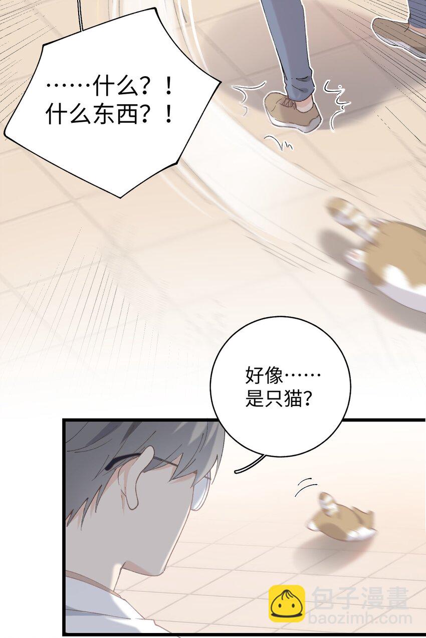 《加菲猫复仇记》026 危！ 第6页