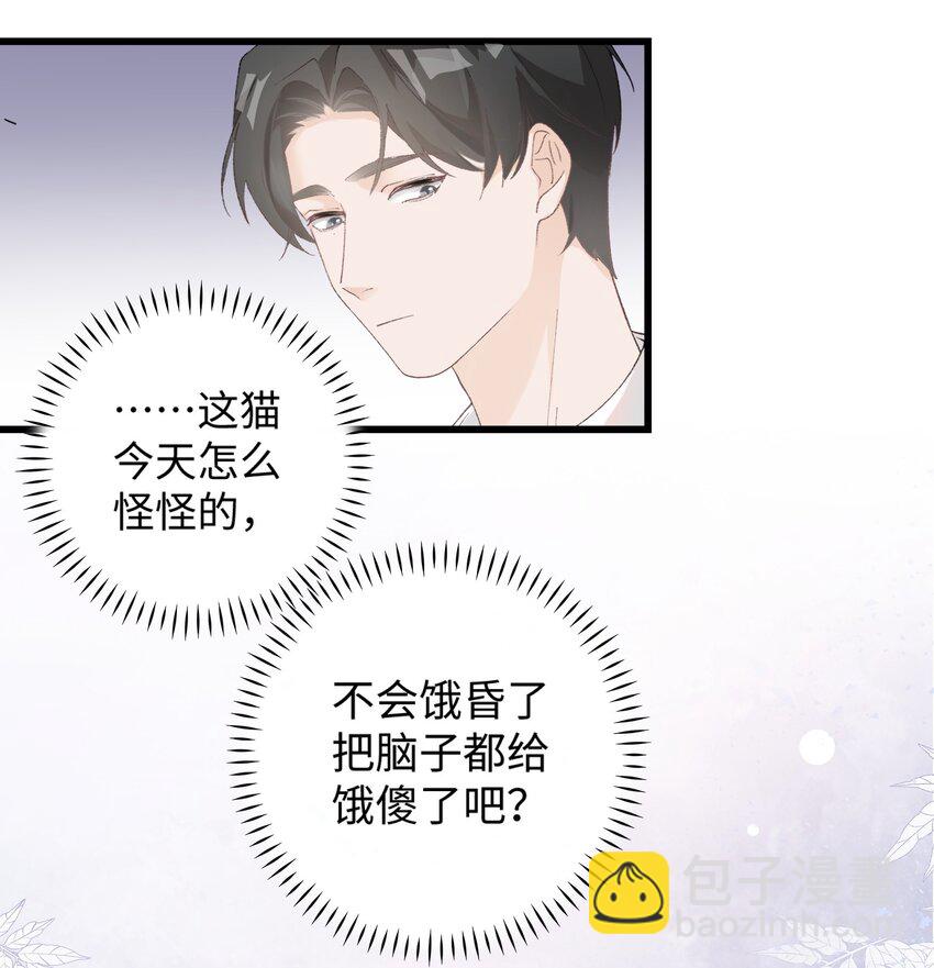《加菲猫复仇记》027 喵与人的信任一文不值！！！【震声】 第17页