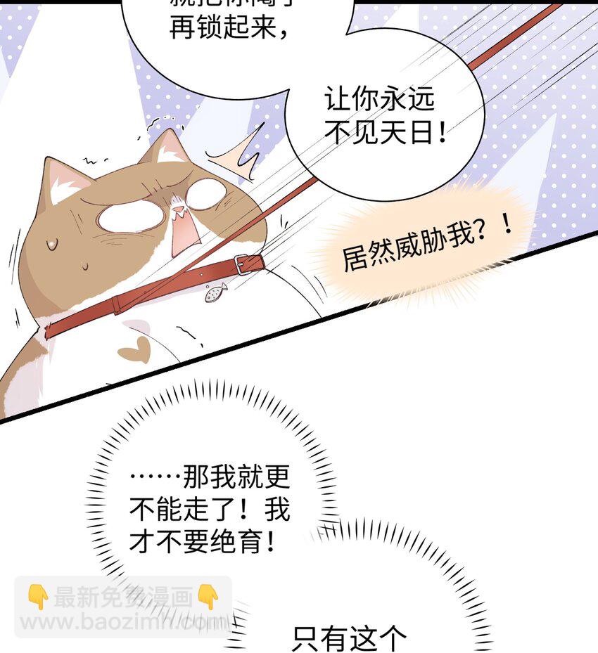 《加菲猫复仇记》027 喵与人的信任一文不值！！！【震声】 第35页