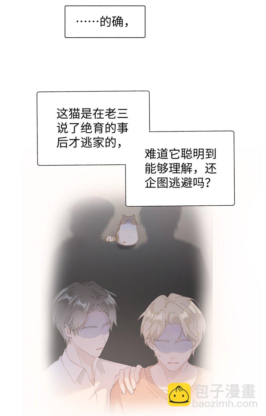 《加菲猫复仇记》027 喵与人的信任一文不值！！！【震声】 第37页