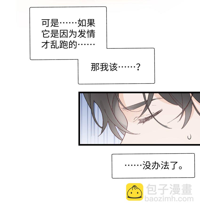 《加菲猫复仇记》027 喵与人的信任一文不值！！！【震声】 第38页