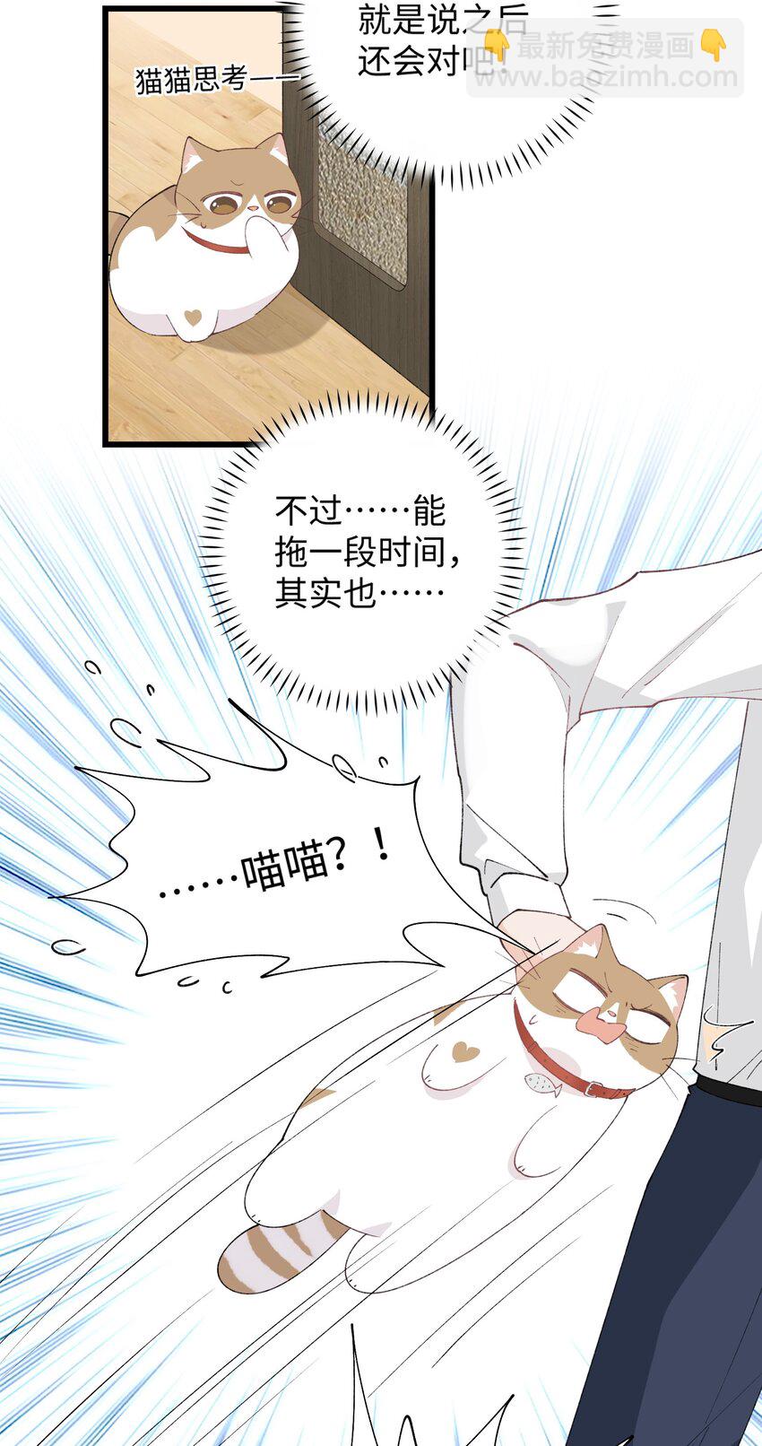 《加菲猫复仇记》027 喵与人的信任一文不值！！！【震声】 第40页