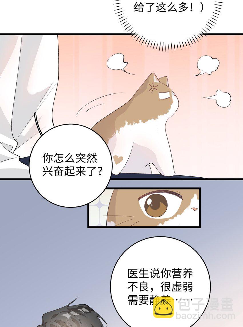 《加菲猫复仇记》027 喵与人的信任一文不值！！！【震声】 第5页
