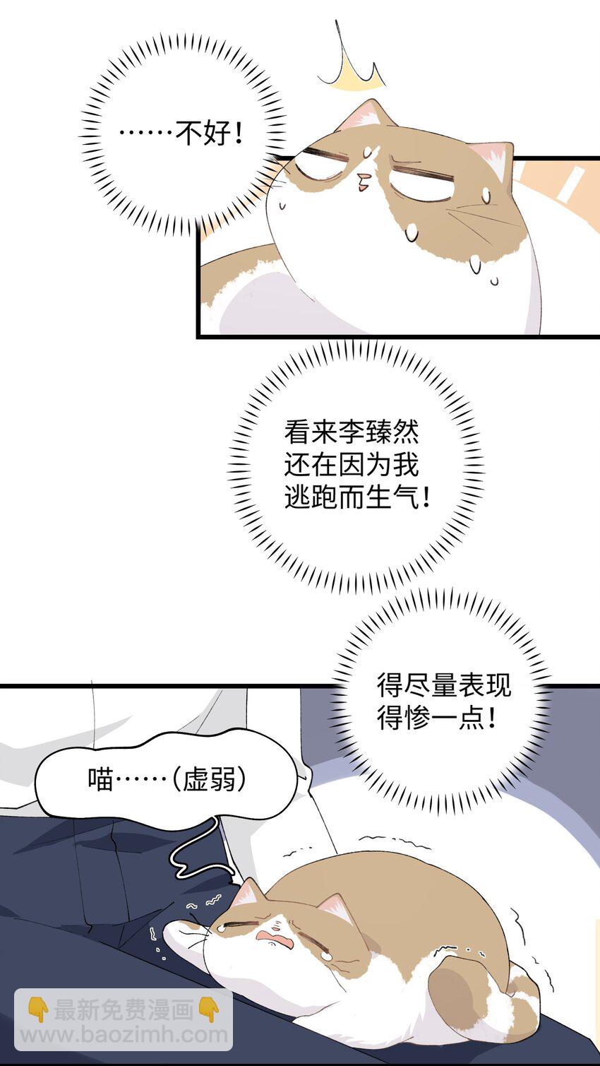 《加菲猫复仇记》027 喵与人的信任一文不值！！！【震声】 第7页