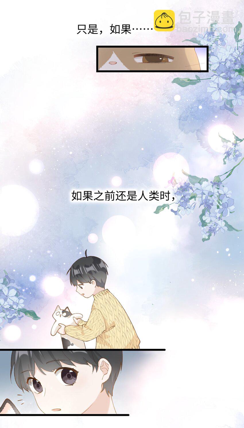 《加菲猫复仇记》028 他很在乎你的 第16页