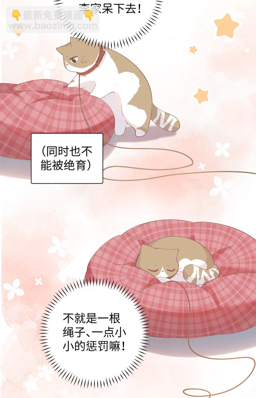 《加菲猫复仇记》028 他很在乎你的 第23页