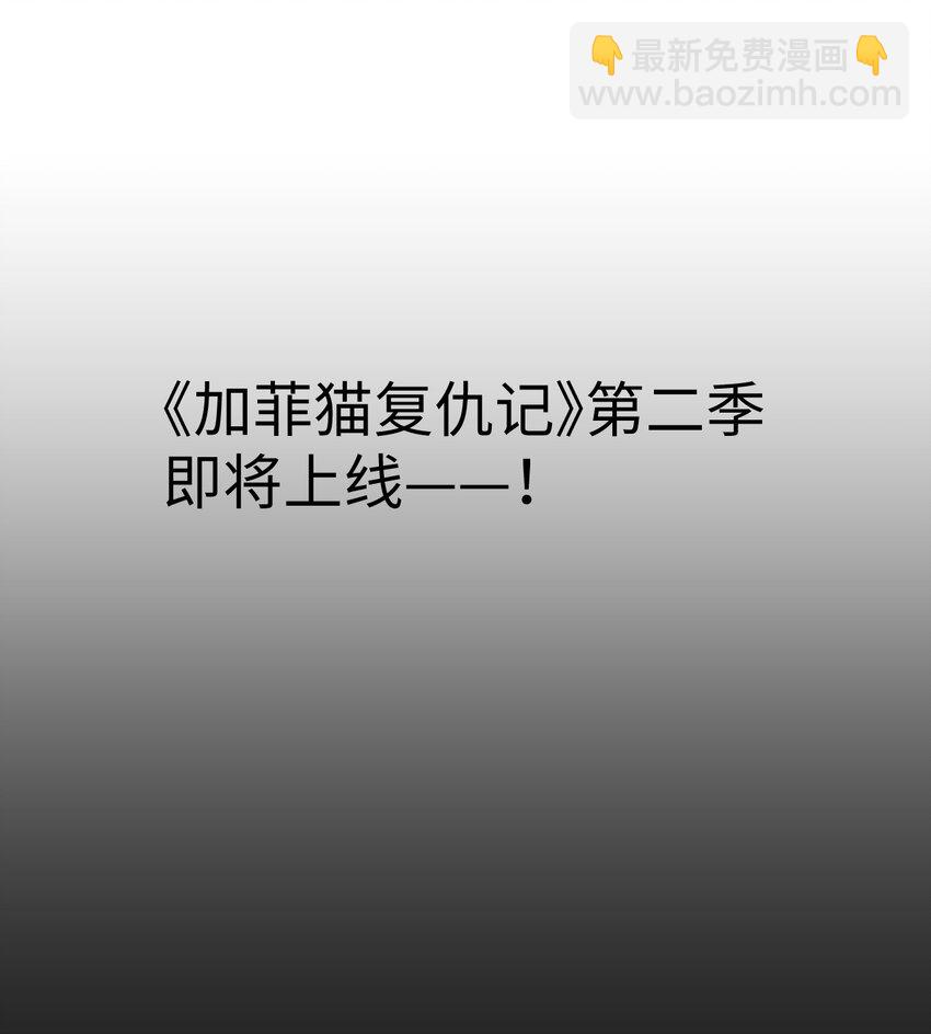 《加菲猫复仇记》028 他很在乎你的 第38页