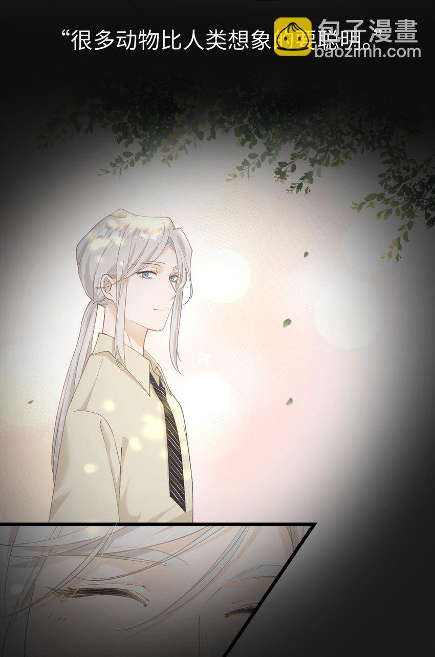 《加菲猫复仇记》028 他很在乎你的 第42页