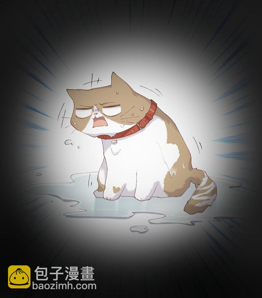 《加菲猫复仇记》028 他很在乎你的 第44页