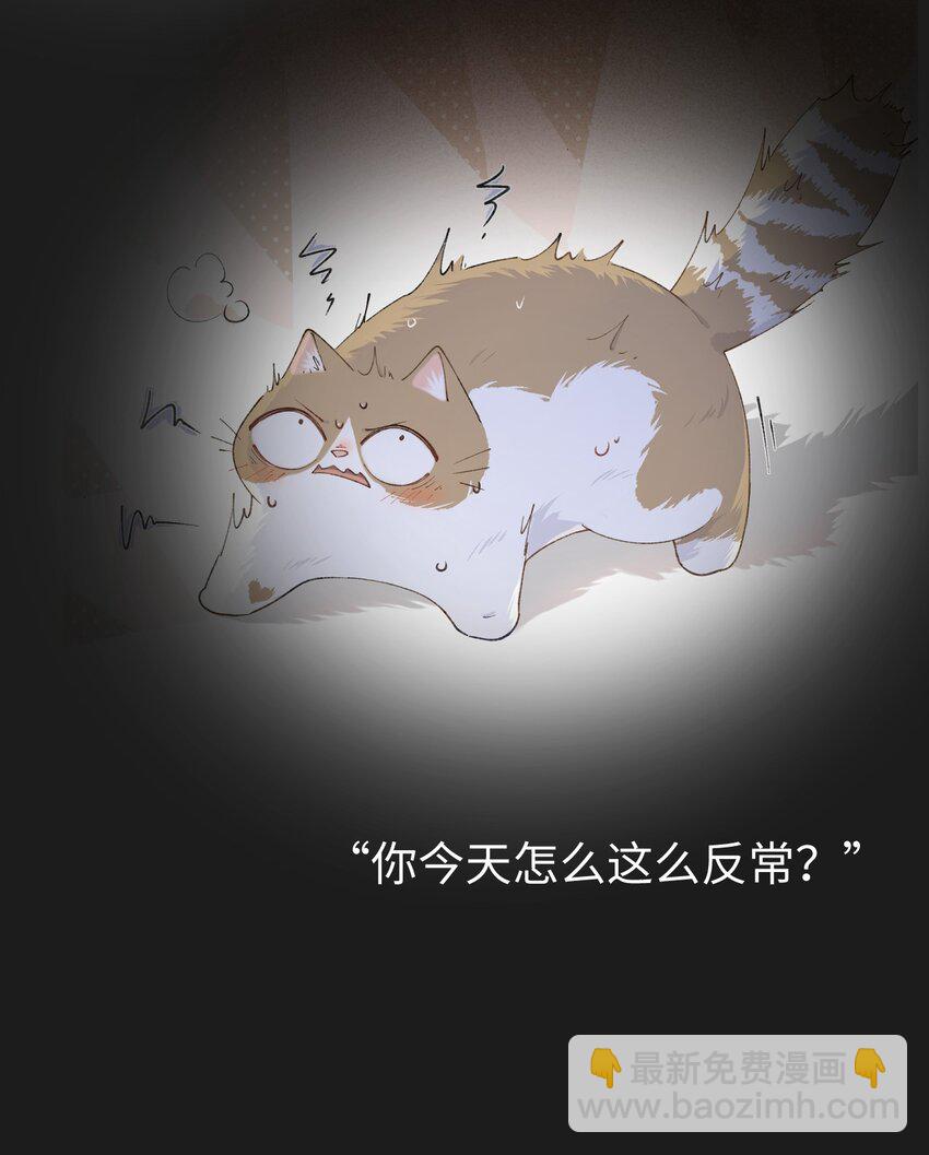 《加菲猫复仇记》028 他很在乎你的 第46页