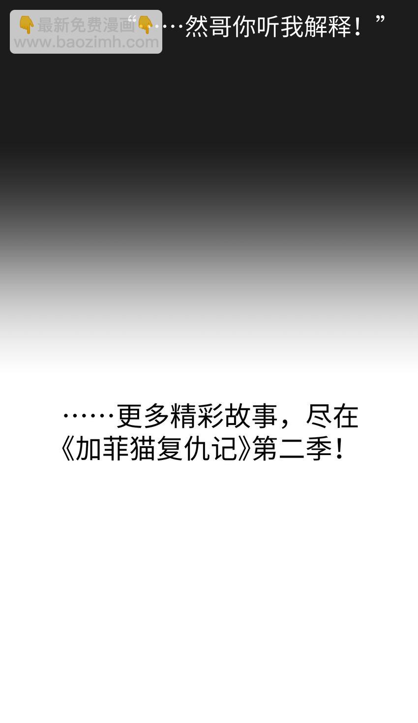 《加菲猫复仇记》028 他很在乎你的 第48页