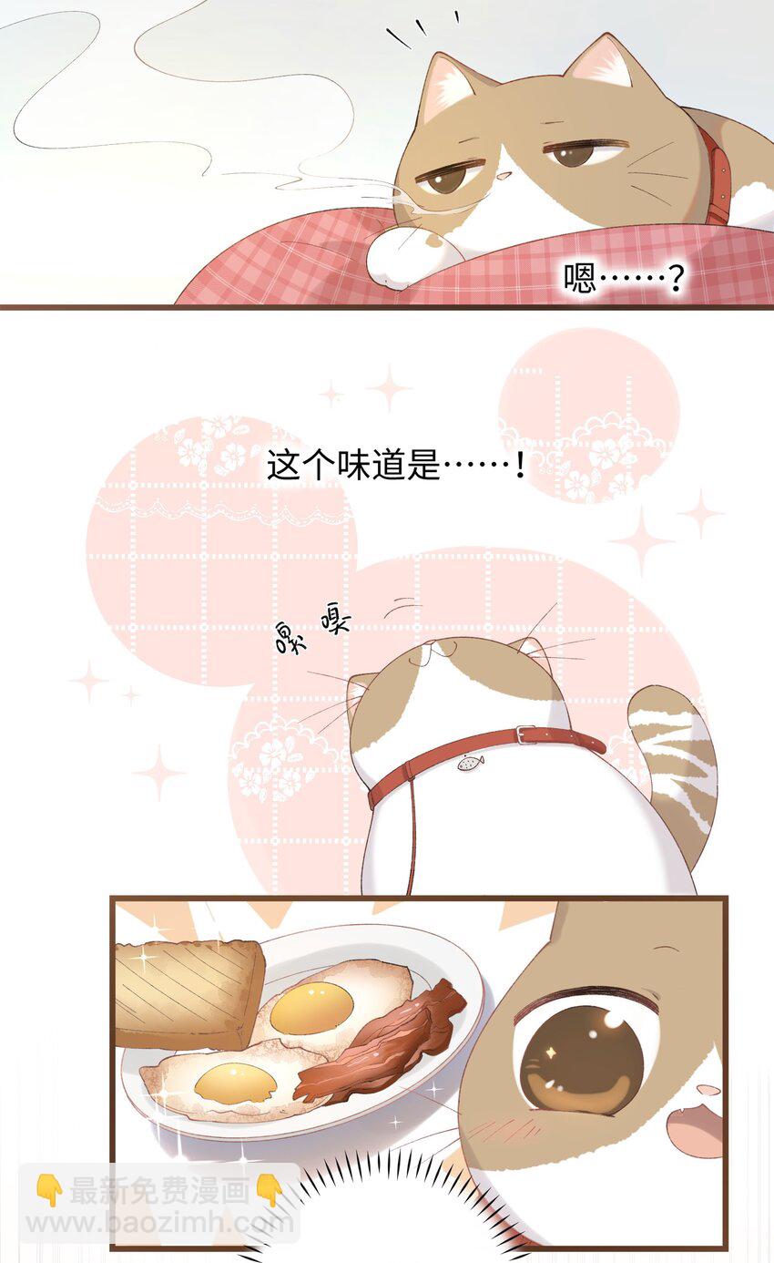 《加菲猫复仇记》028 他很在乎你的 第4页