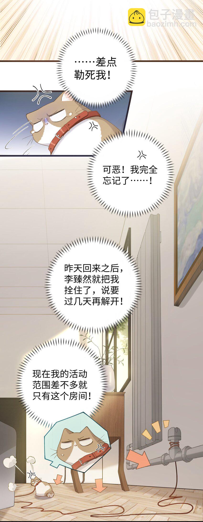 《加菲猫复仇记》028 他很在乎你的 第6页