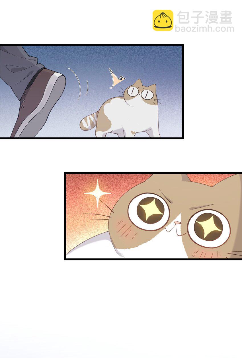 《加菲猫复仇记》025 会是他吗…？ 第12页