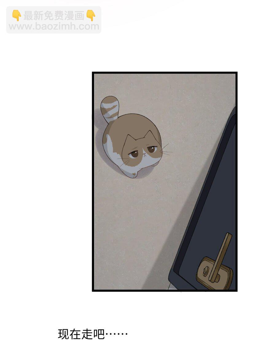 《加菲猫复仇记》025 会是他吗…？ 第41页