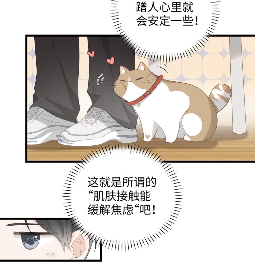 《加菲猫复仇记》030 糟糕瞒不住了！ 第23页