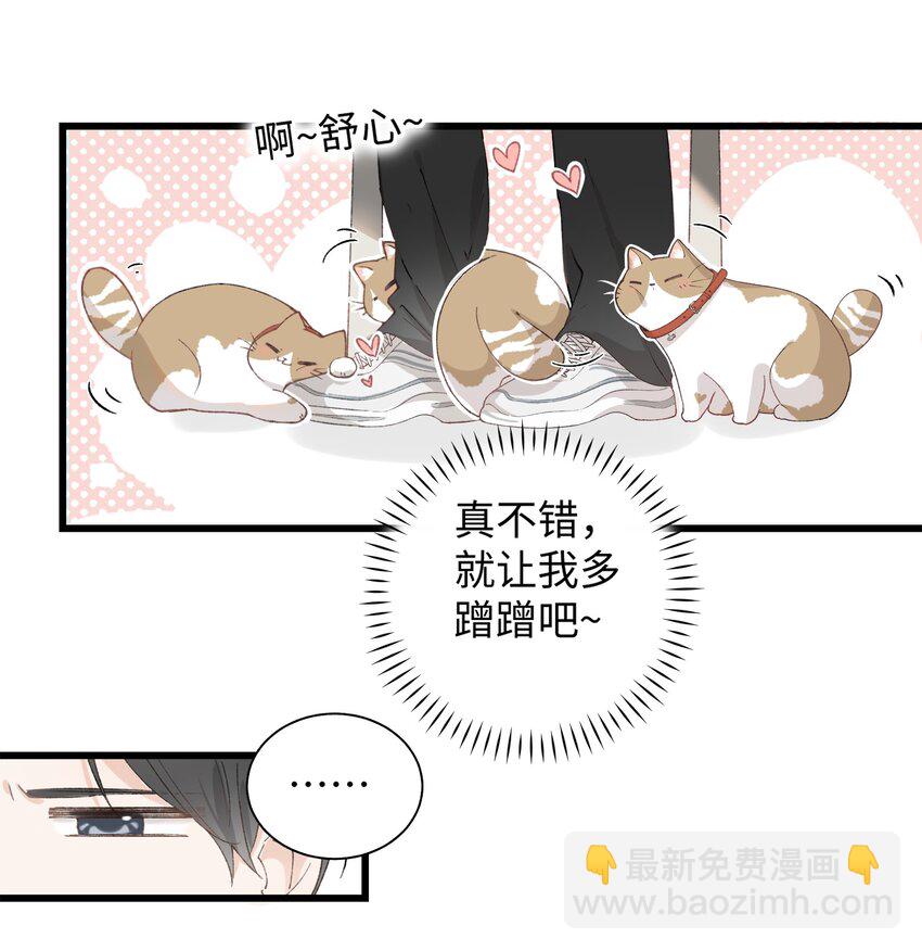 《加菲猫复仇记》030 糟糕瞒不住了！ 第24页