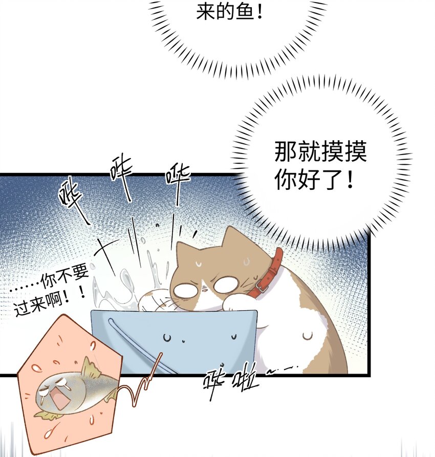 《加菲猫复仇记》030 糟糕瞒不住了！ 第28页