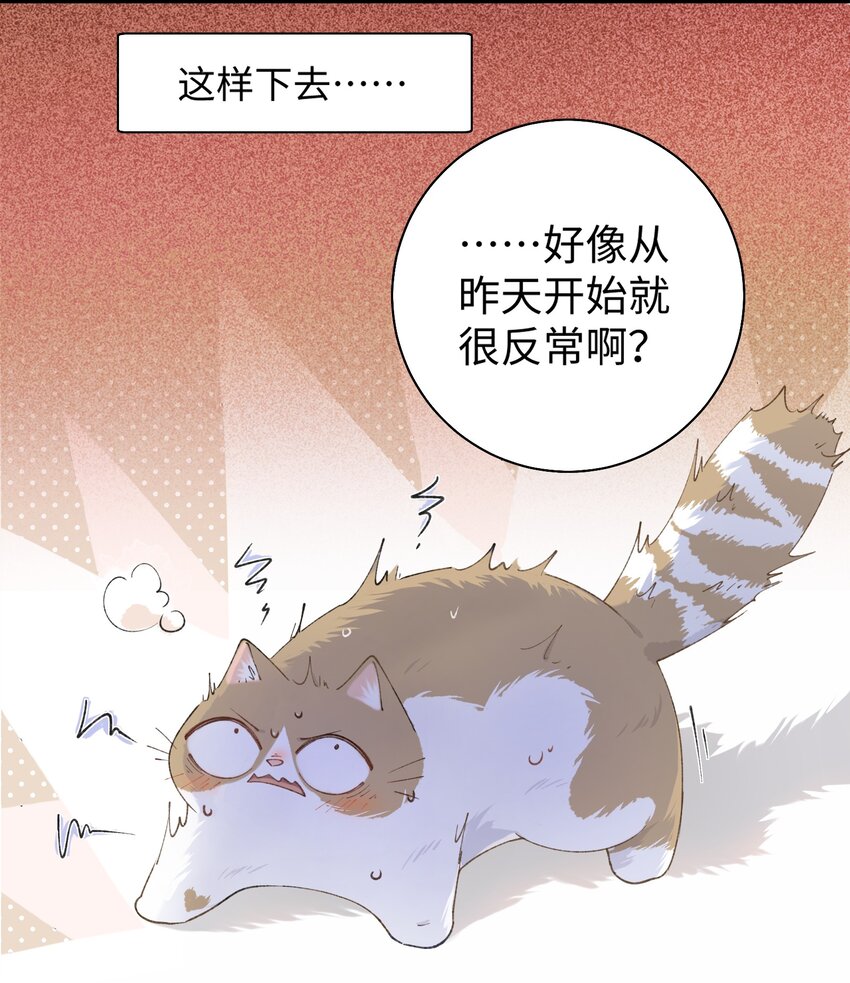《加菲猫复仇记》030 糟糕瞒不住了！ 第40页