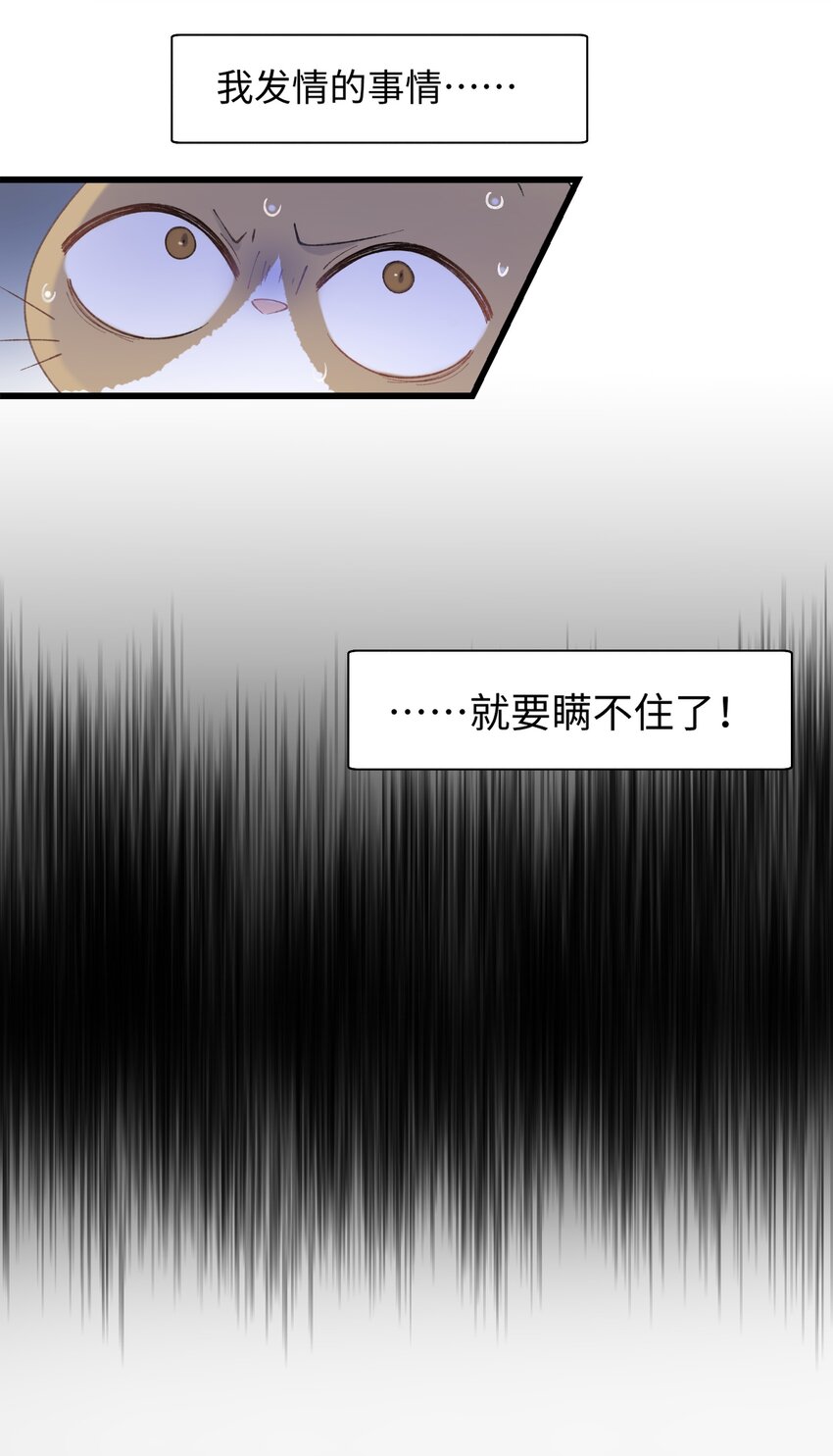 《加菲猫复仇记》030 糟糕瞒不住了！ 第41页