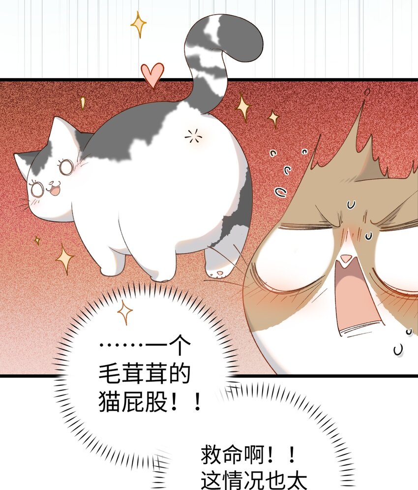 《加菲猫复仇记》030 糟糕瞒不住了！ 第7页