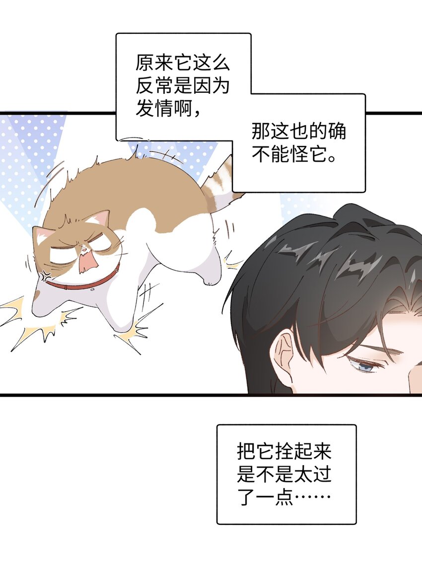 《加菲猫复仇记》031 这是…我？！ 第11页