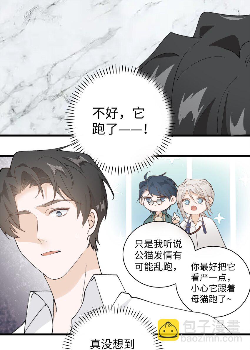 《加菲猫复仇记》031 这是…我？！ 第19页