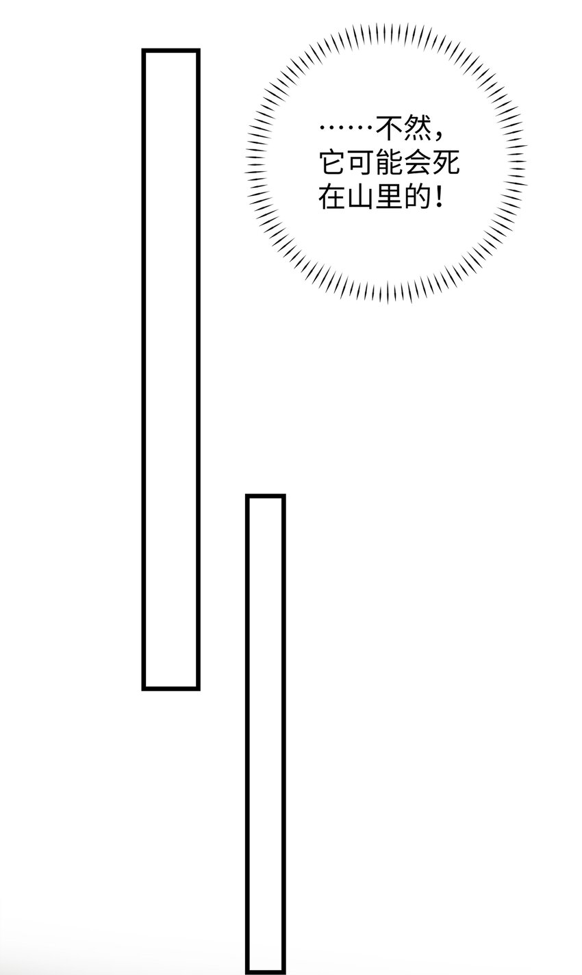 《加菲猫复仇记》031 这是…我？！ 第21页