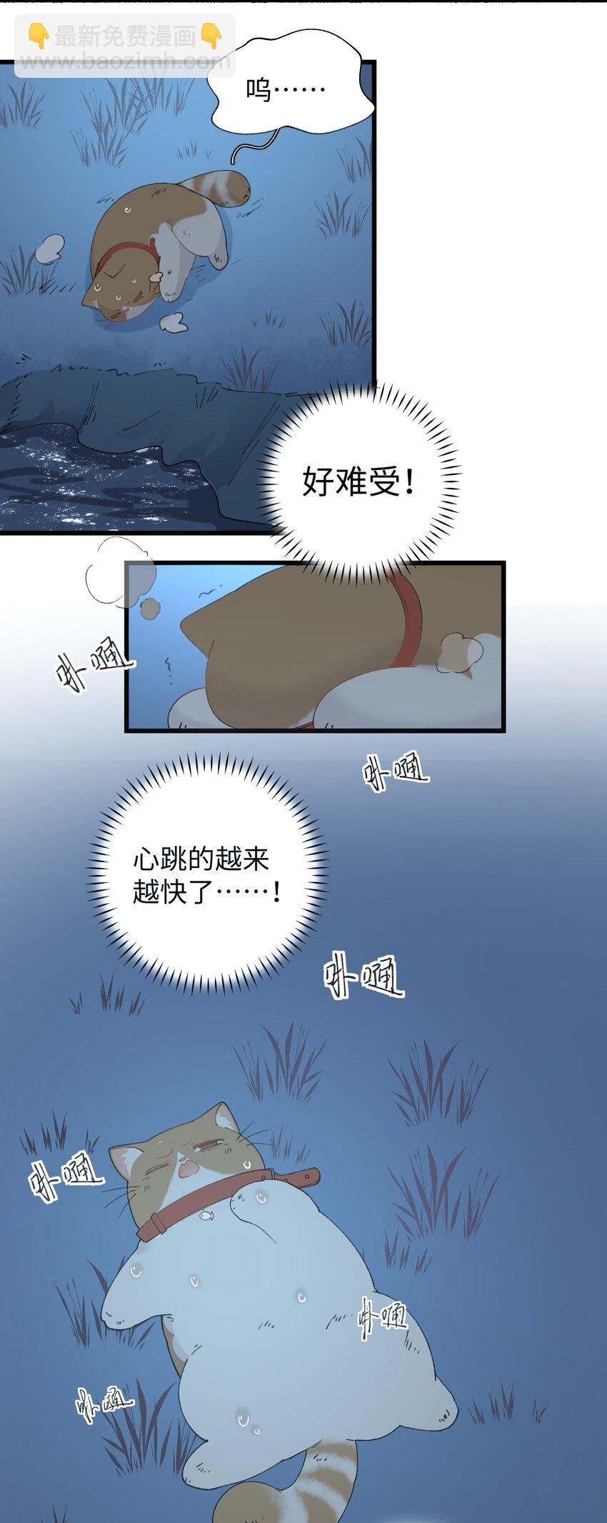《加菲猫复仇记》031 这是…我？！ 第28页