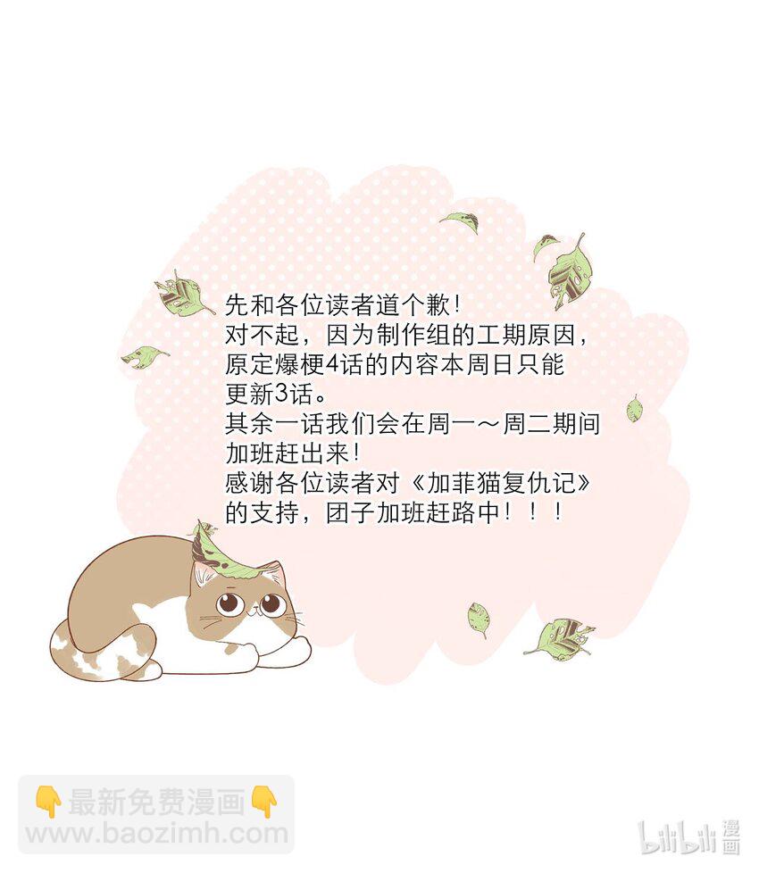 《加菲猫复仇记》031 这是…我？！ 第39页