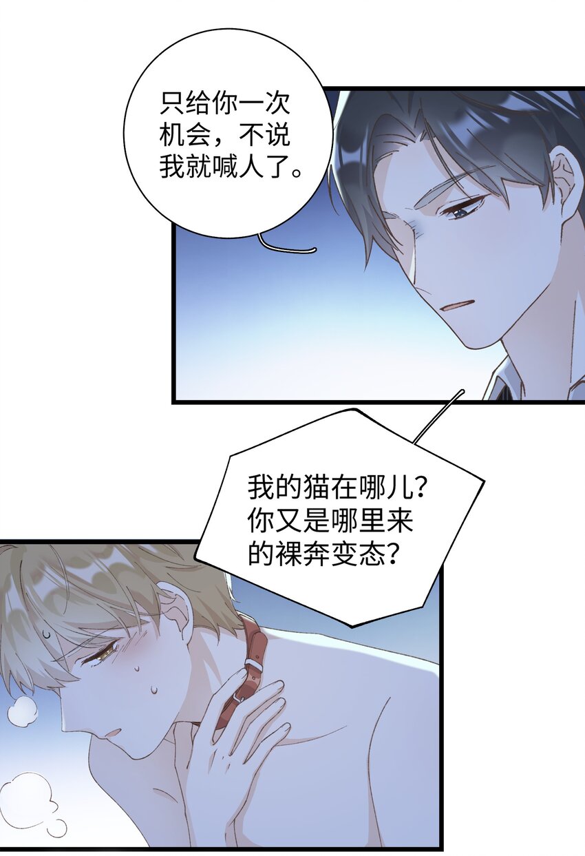 《加菲猫复仇记》032 都是发情惹的祸！ 第4页
