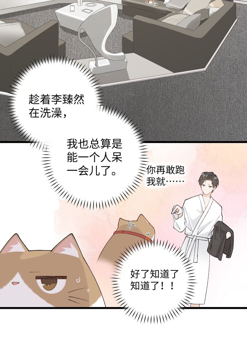 《加菲猫复仇记》029 大事不妙的假期！ 第37页