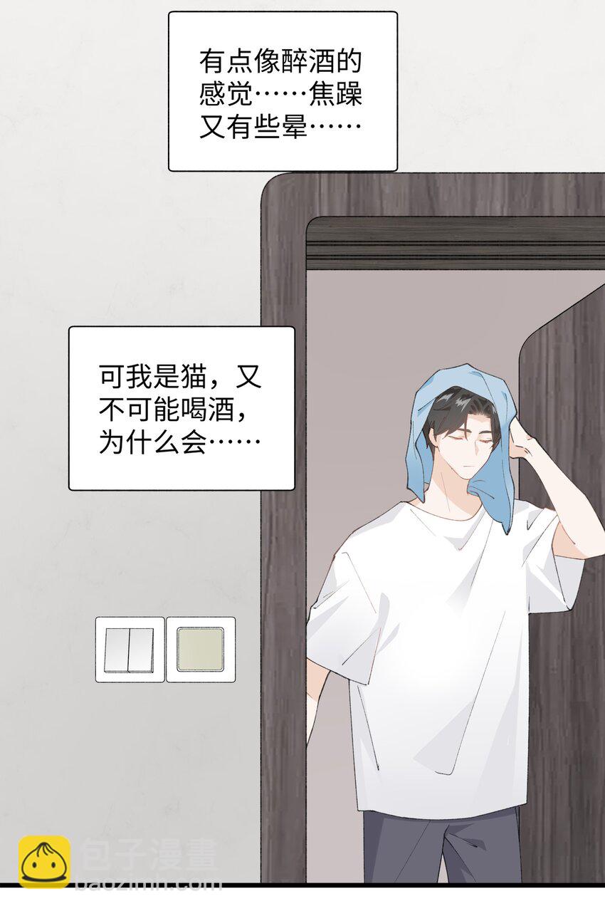 《加菲猫复仇记》029 大事不妙的假期！ 第40页