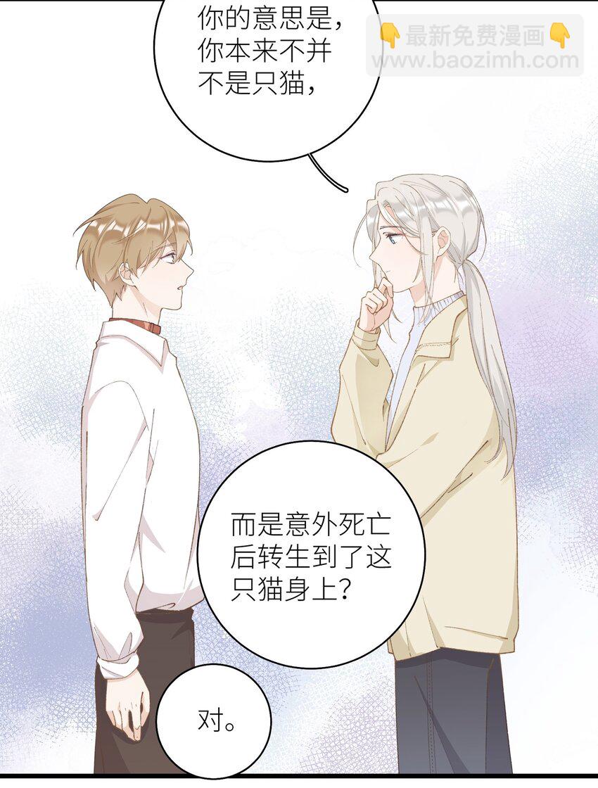《加菲猫复仇记》035 你在关心我？ 第13页
