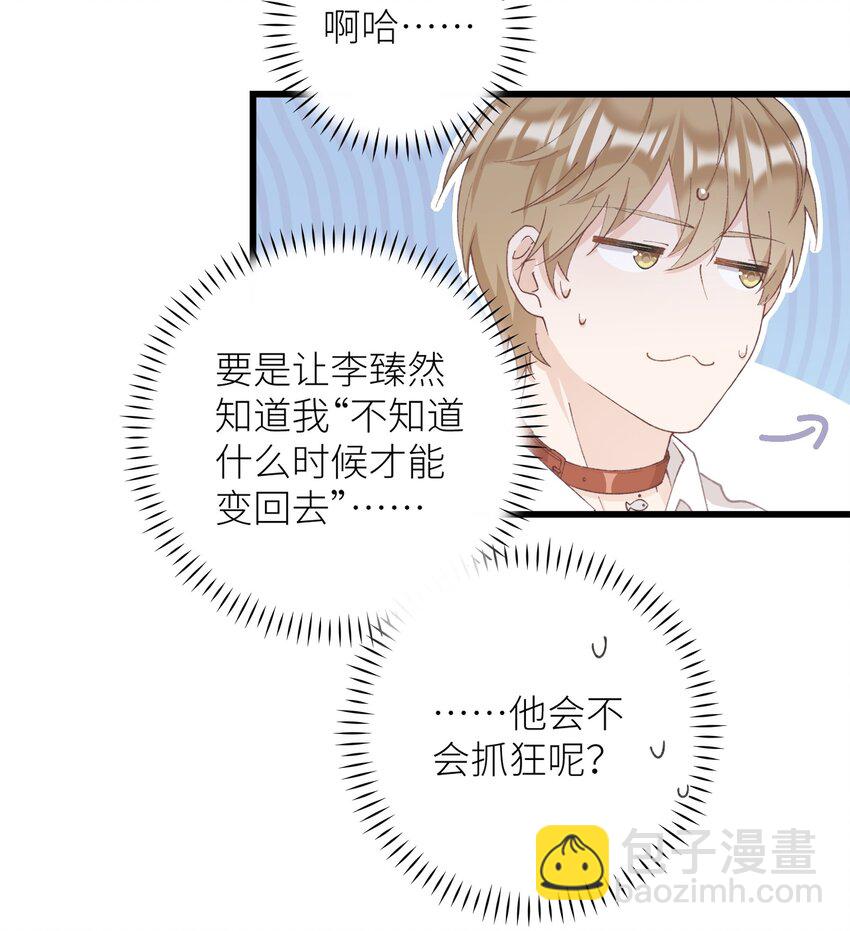 《加菲猫复仇记》036 你手往哪伸啊！ 第13页