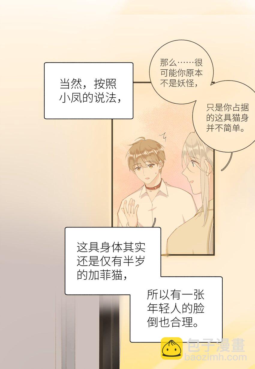 《加菲猫复仇记》036 你手往哪伸啊！ 第33页