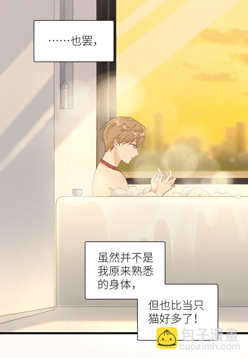 《加菲猫复仇记》036 你手往哪伸啊！ 第34页