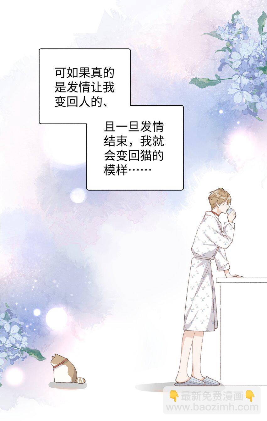 《加菲猫复仇记》033 说出来你可能不信，我的猫变人了 第20页