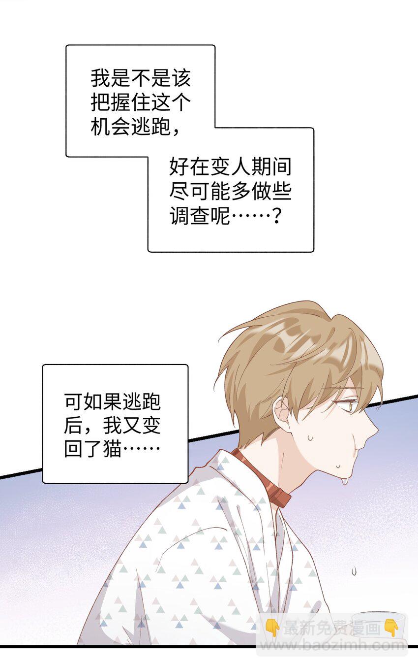 《加菲猫复仇记》033 说出来你可能不信，我的猫变人了 第21页