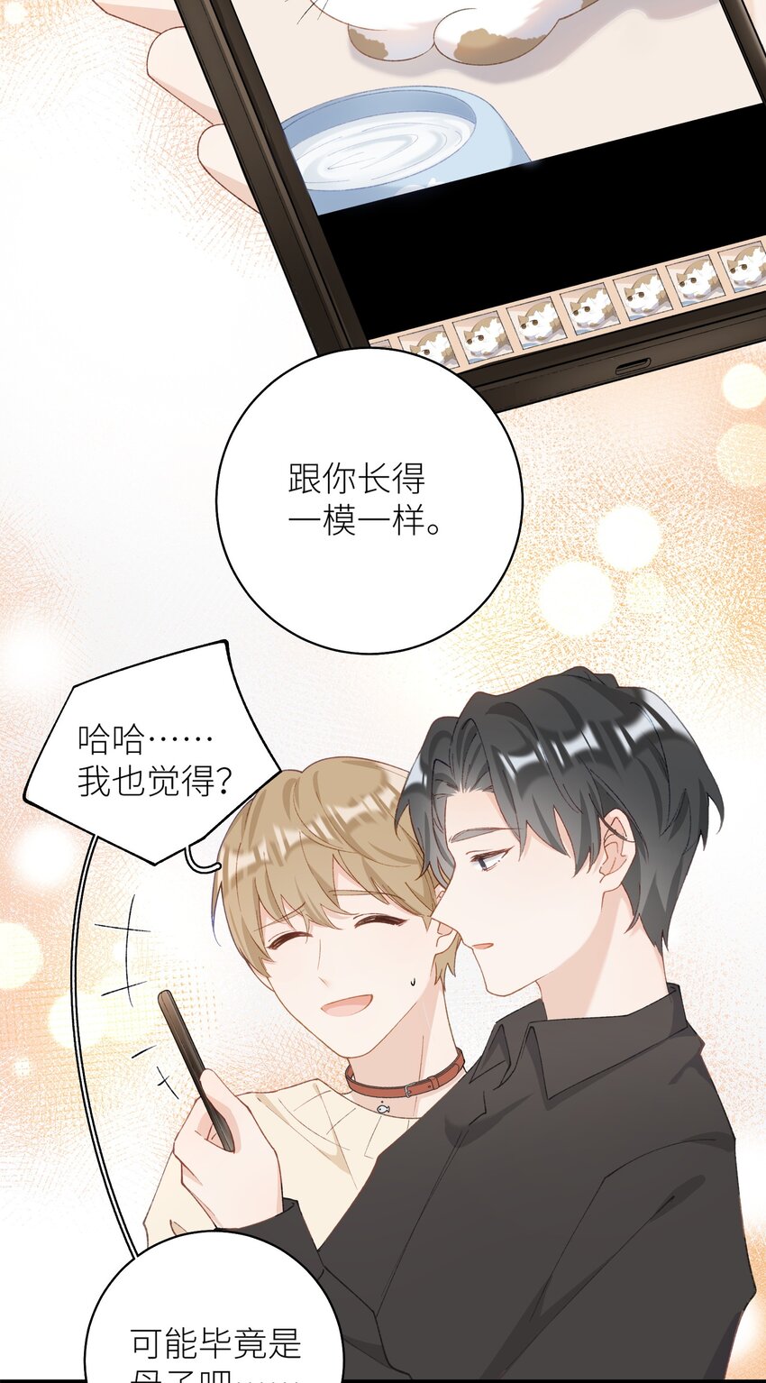 《加菲猫复仇记》040 什么时候才能变回小猫咪呢【悲】 第25页