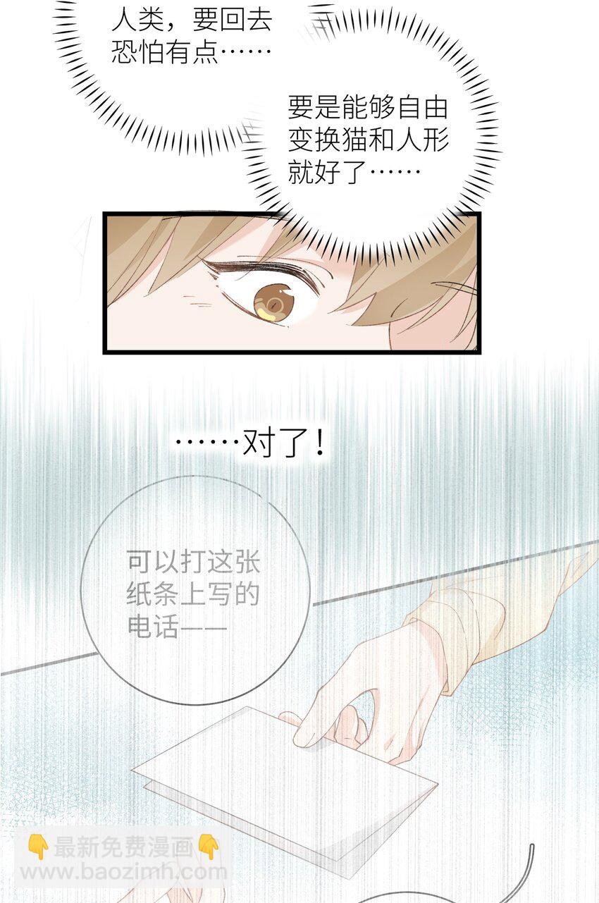 《加菲猫复仇记》042 新线索 第33页