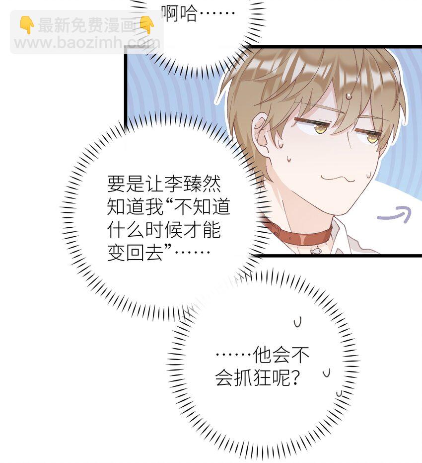 《加菲猫复仇记》036 你干什么啊啊啊！！！ 第13页