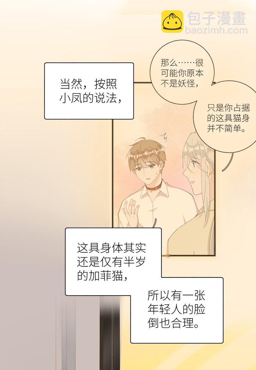 《加菲猫复仇记》036 你干什么啊啊啊！！！ 第33页