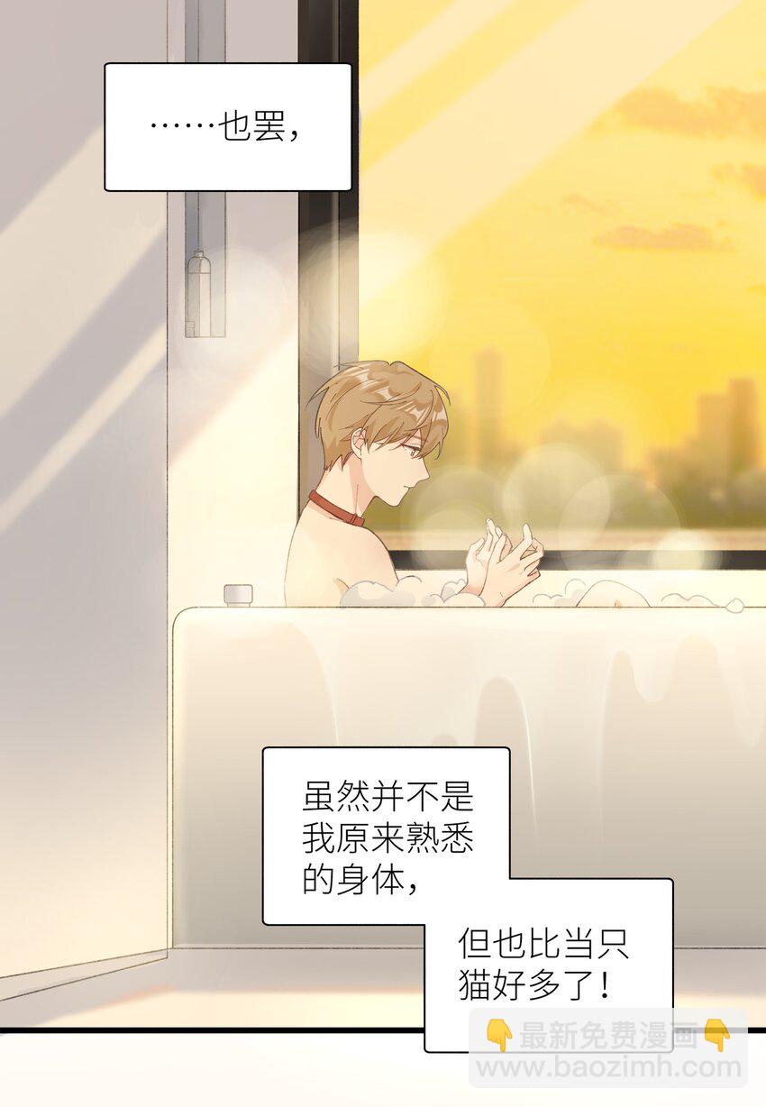 《加菲猫复仇记》036 你干什么啊啊啊！！！ 第34页
