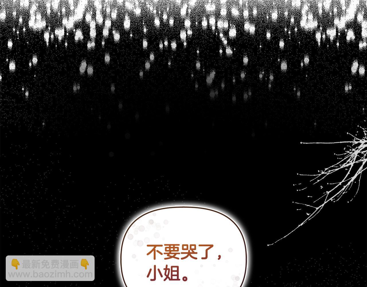 《安洁莉卡不一样的夫人》第15话 地下室的秘密 第41页