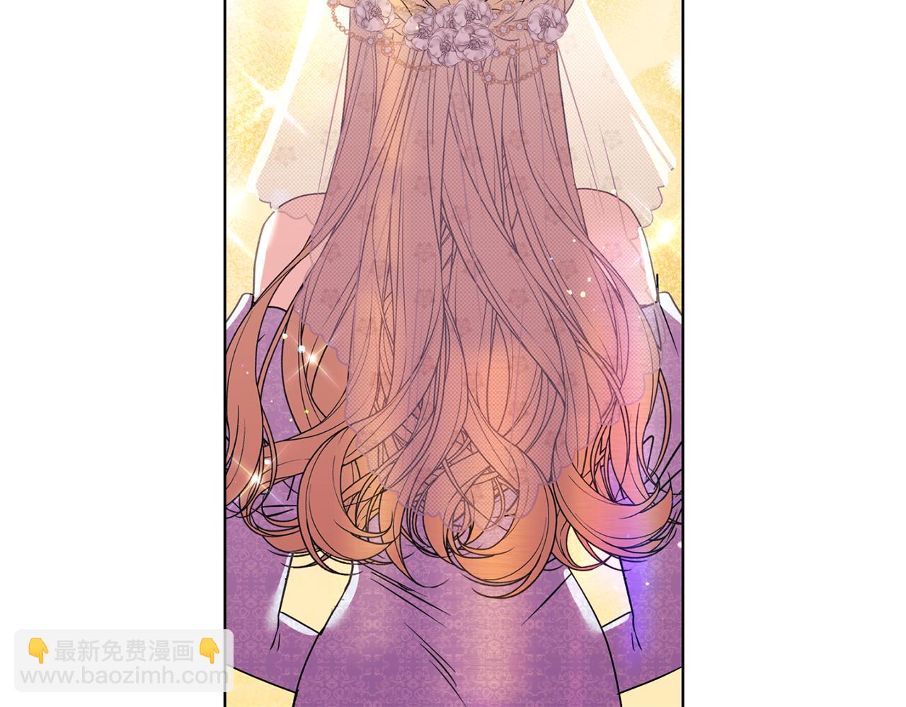 《安洁莉卡不一样的夫人》完结篇 期盼已久的婚礼 第5页