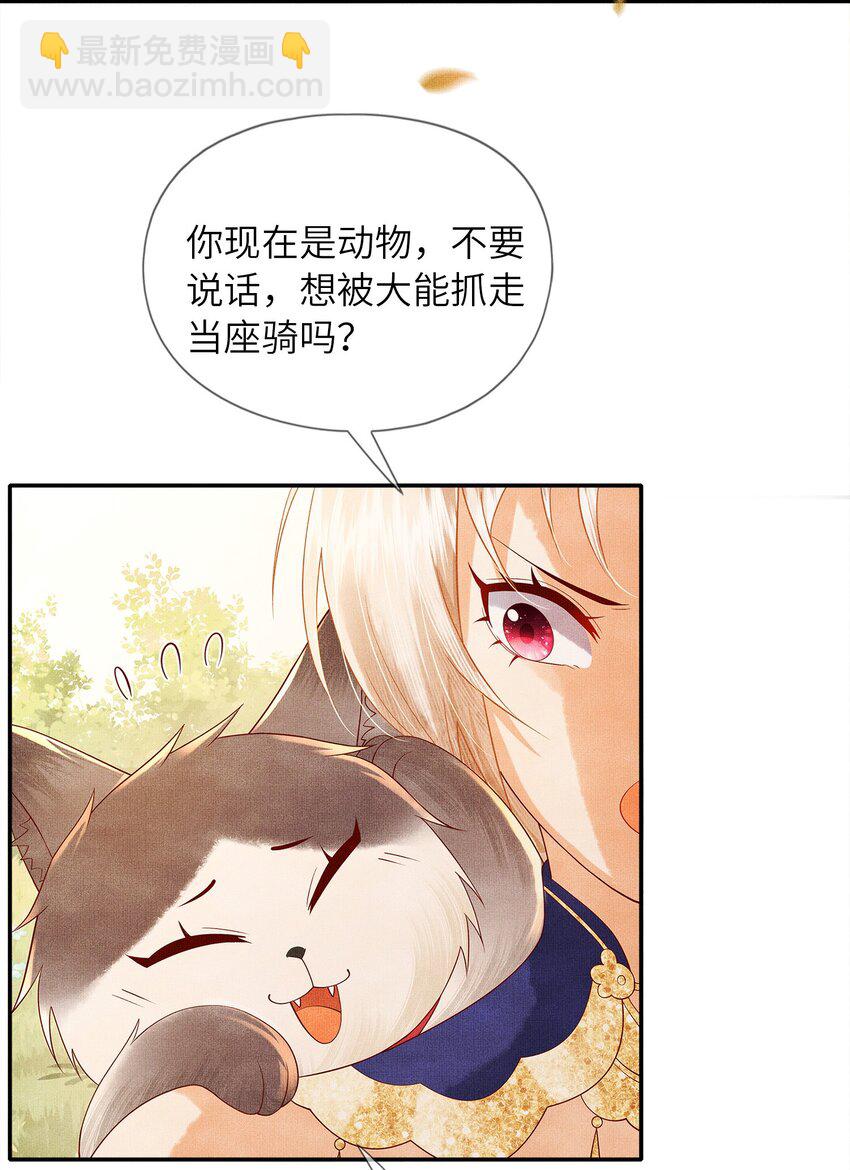 《女师祖无法飞升的理由》03 下山去 第12页